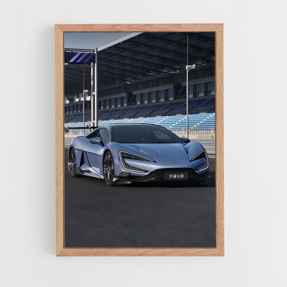 Poster Yangwang Capturée – affiche BYD (vue 4)